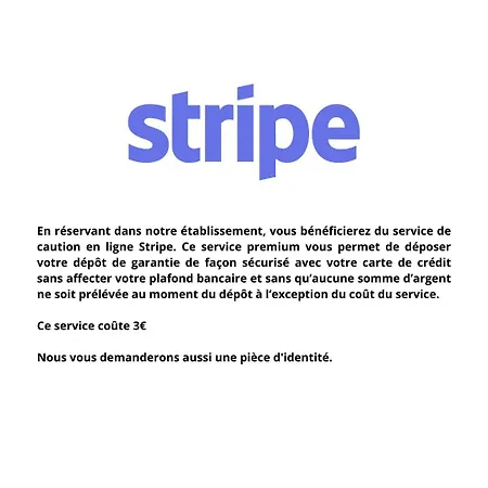 T2 Bord De Garonne Hypercentre Terrasse + Parking Daire